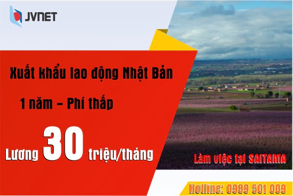 Đơn hàng 1 năm phí thấp