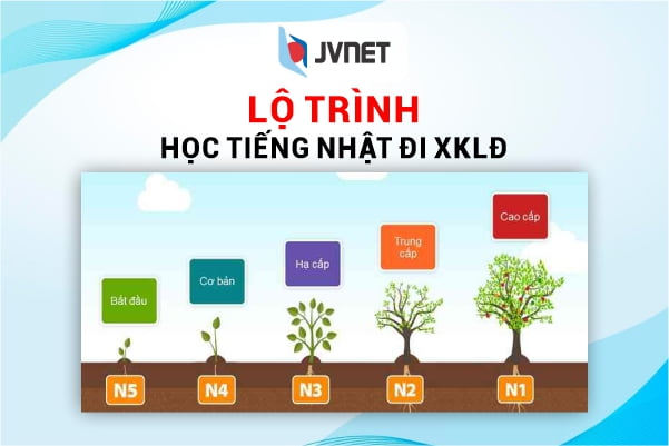 lộ trình học tiếng Nhật đi xklđ