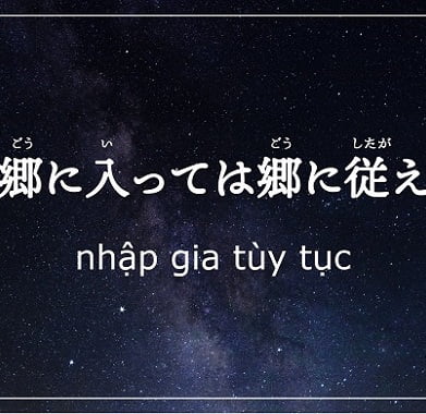 nhap-gia-tuy-tuc