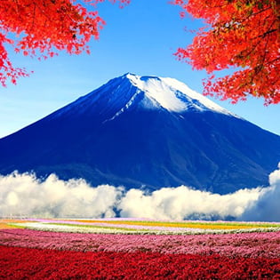 Nhật Bản khát LĐ