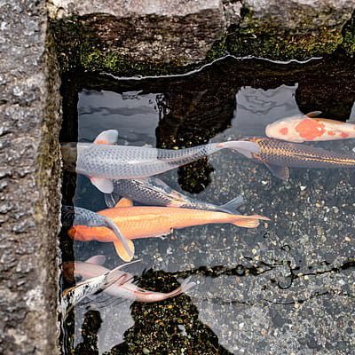 tai-sao-nhat-luon-la-nuoc-sach-nhat-the-gioi01