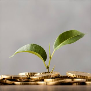 Tăng thu nhập tại Nhật