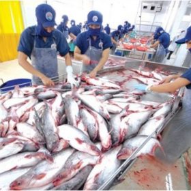 đơn hàng chế biến thực phẩm cho nam tại JVNET