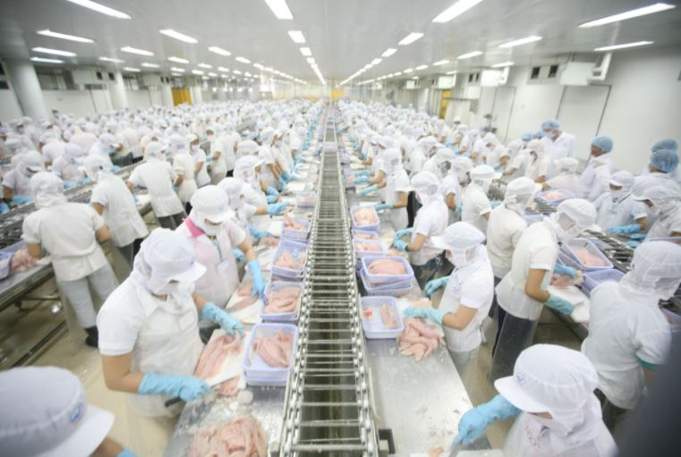 có nên đi xuất khẩu nhật bản