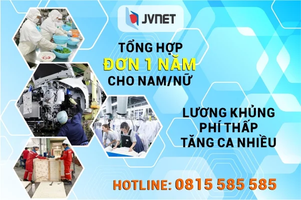 chi phí xuất khẩu bản cập nhật 1 năm