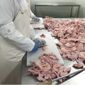 đơn gia công xử lý thịt gà