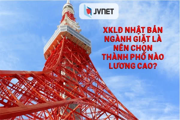 XKLĐ Nhật Bản ngành giặt là