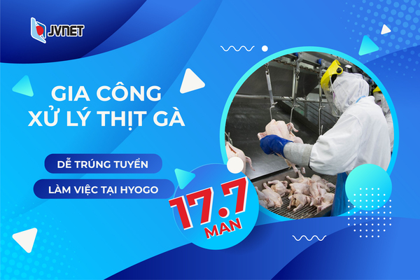 Chế biến thịt gà tại Nhật lương cao