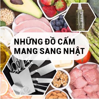 những đồ cấm mang sang nhật bản xklđ