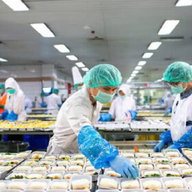 làm cơm hộp nam