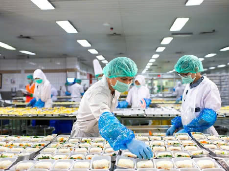 làm cơm hộp nam