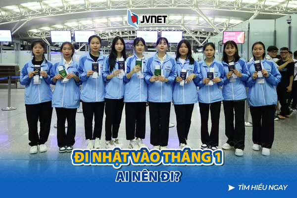 Ai nên đi Nhật vào tháng 1