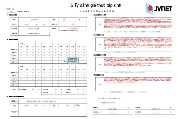 Giấy đánh giá thực tập sinh kỹ năng