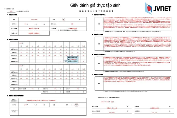 Giấy đánh giá thực tập sinh kỹ năng