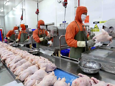 Chế biến thịt gà ở Nhật Bản