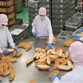 Đơn bánh mì XKLĐ Nhật