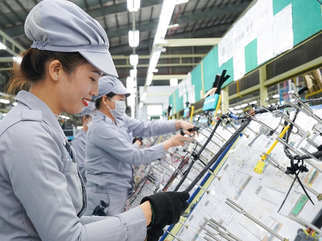 Đơn hàng Nhật Bản XKLĐ lương tốt nhất