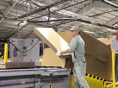 Đơn hàng cho nam đi Nhật mới nhất