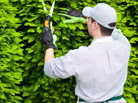 XKLĐ đơn xây dựng Nhật Bản mới