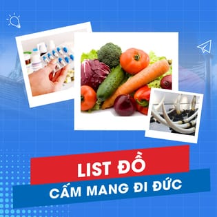 những thứ không được mang vào đức