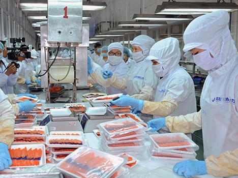 Đơn làm cơm hộp Nhật