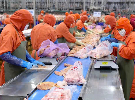 Đơn thực phẩm XKLĐ Nhật