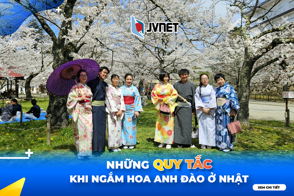Quy tắc ngắm hoa anh đào ở Nhật