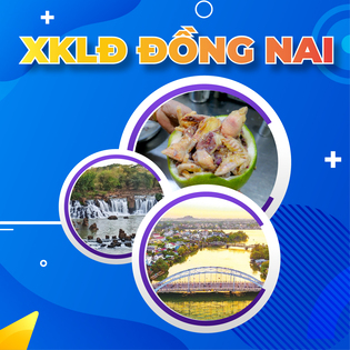 Xklđ tại Đồng Nai